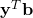 \mathbf{y}^T\mathbf{b}